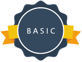 Basic Report